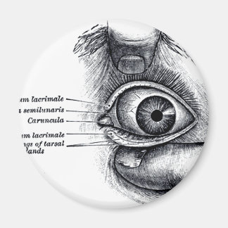 Aimant L'anatomie de Grey — globe oculaire
