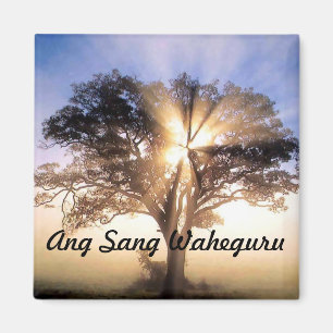 Aimant L'ANG a chanté l'aimant de Waheguru