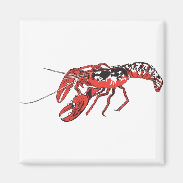 Aimant langouste (Devant)