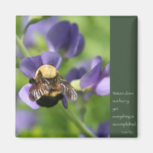 Aimant Lao Tzu Mots de sagesse