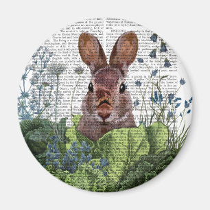 Aimant Lapin dans un patch de choux