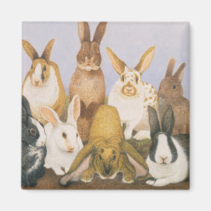 Aimant Lapins chanceux