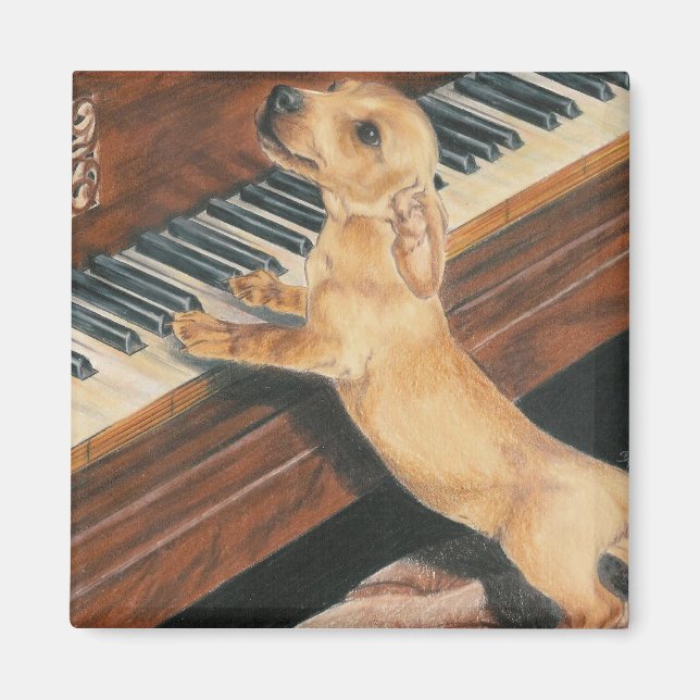 Aimant L'apprenti de Mozart (Devant)