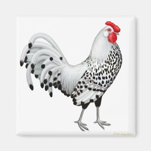 Aimant L'argent a orné l'aimant de paillettes de coq de