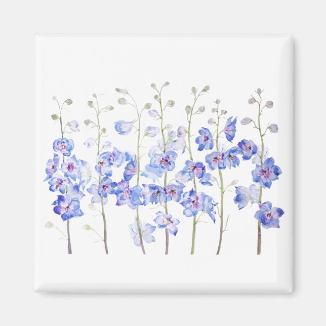 Aimant larkspur (Devant)