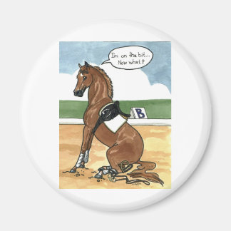 Aimant L'art du cheval un peu ce que maintenant