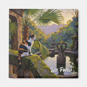 Aimant Las Pozas Mexique Travel