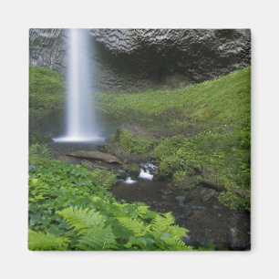Aimant Latourell Falls, Gorge du fleuve Columbia, Oregon,