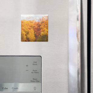 Aimant L'Automne Crampe La Foi Sur La Peur