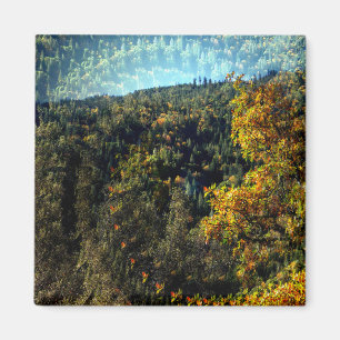 Aimant L'automne dans les montagnes....