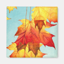 L'automne est en l'air !