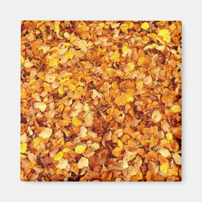 Aimant L'automne laisse l'aimant Carré (Devant)