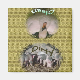 Aimant Lave-vaisselle