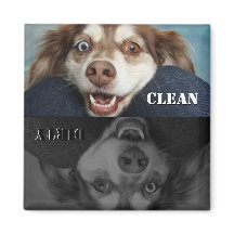 Lave-vaisselle pour chiot nettoyant