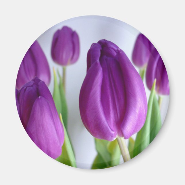 Aimant Lavender Tulips (Devant)
