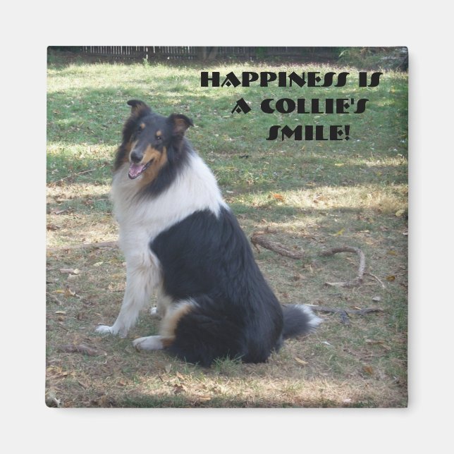 Aimant Le bonheur est le sourire de Collie (Devant)
