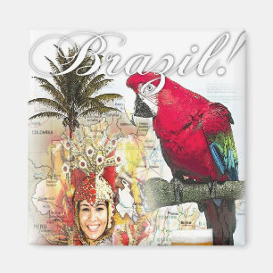 Aimant le Brésil