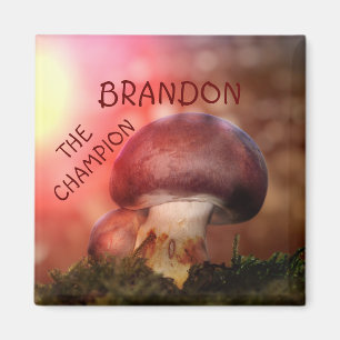 Aimant Le campion à champignon