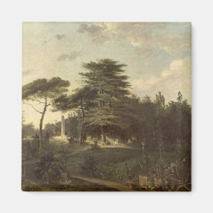 Aimant Le cèdre du Liban dans le Jardin des Plantes