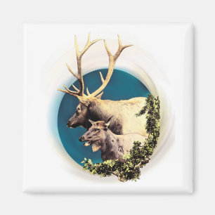 Aimant Le Cerf et la Biche