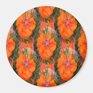 Aimant Le champ de pavot chinois...