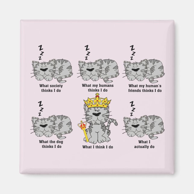 Aimant Le chat (Devant)