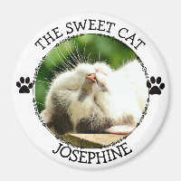 LE CHAT SUCRÉ : Bouton photo Pawprints humoristiqu
