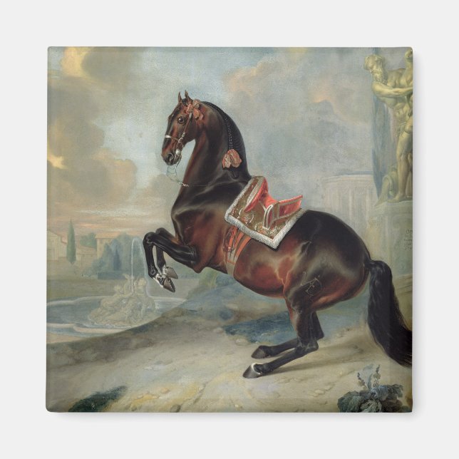 Aimant Le cheval de la baie sombre "Valido" (Devant)