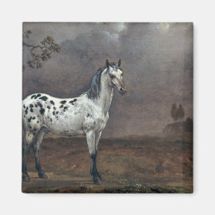 Aimant Le cheval pie, 1653