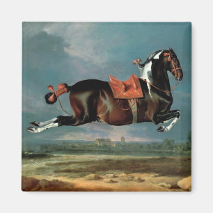 Aimant Le cheval pie "Cehero" s'élevant
