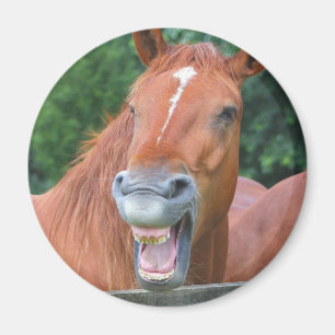 Aimant Le cheval riant