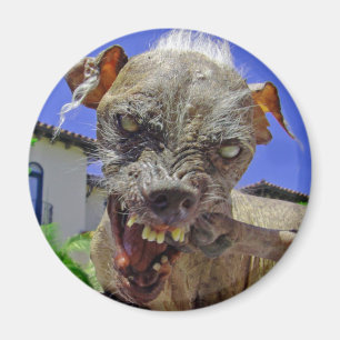 Aimant Le chien le plus laid du monde