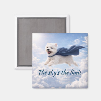 Aimant Le ciel est la limite