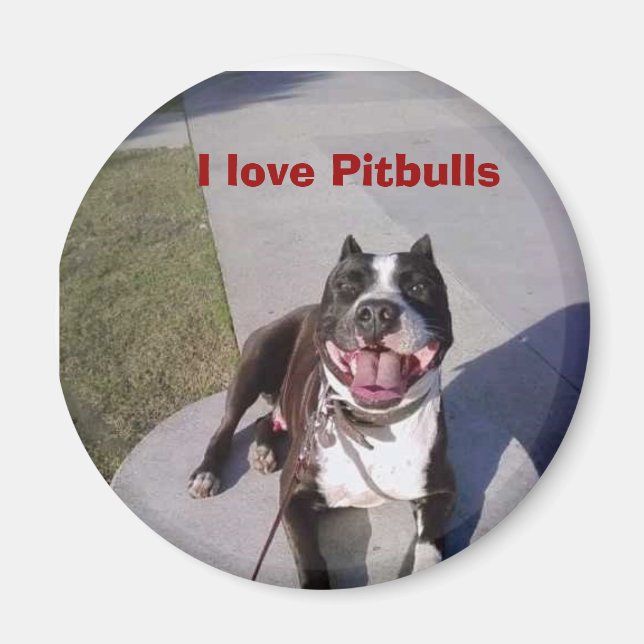 Aimant Le cours de Roscoe, j'aime Pitbulls (Devant)