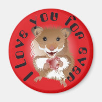 Le Hamster my little friend