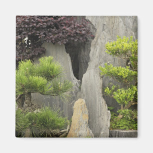 Aimant Le jardin de la famille Bao, Huangshan, Chine. 2
