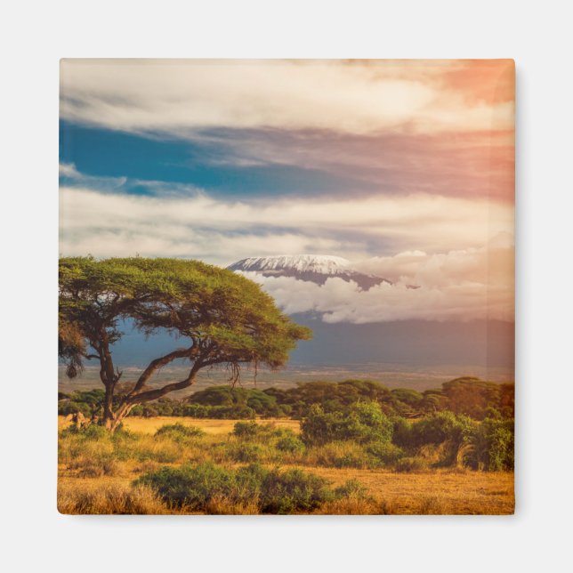 Aimant Le Kilimandjaro | Amboseli, Kenya (Devant)