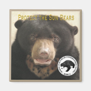 AIMANT LE KUAMUT PROTÉGE LES OURS SOLEIL