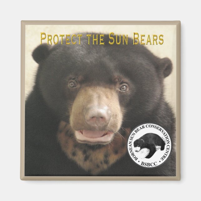 AIMANT LE KUAMUT PROTÉGE LES OURS SOLEIL (Devant)