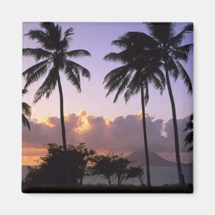 Aimant Le littoral de Saint-Kitts