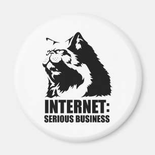 Aimant le lolcat l'Internet est des affaires sérieuses