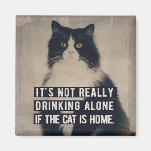 Aimant Le Magnétisme de la cat