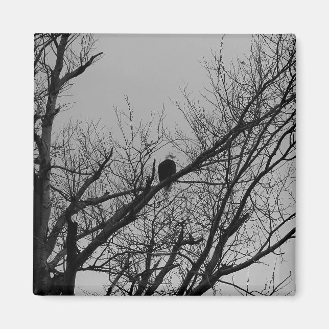 Aimant Le mâle prenant la montre (Devant)