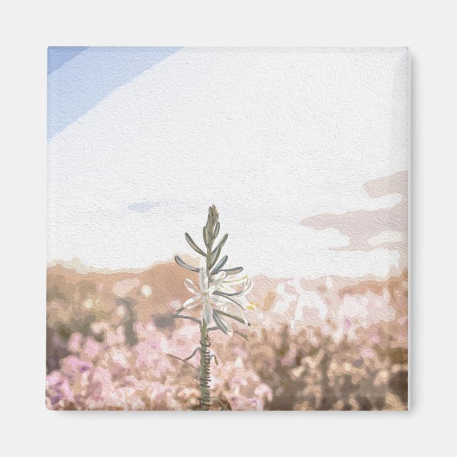 Aimant Le moment de l'aimant (Devant)