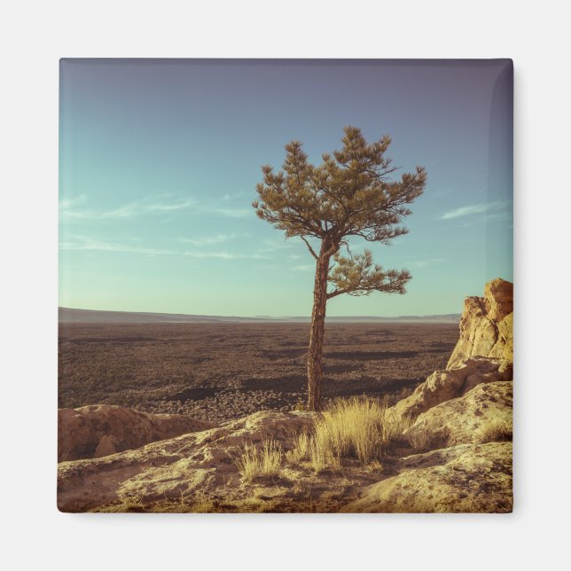 Aimant Le Monument national d'El Malpais (Devant)