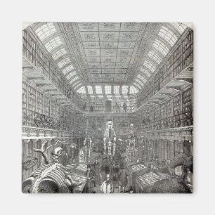 Aimant Le musée de Hunterian