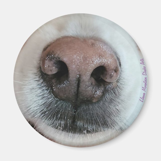 Aimant Le nez connaît l'aimant Nez de chien #1 (Devant)