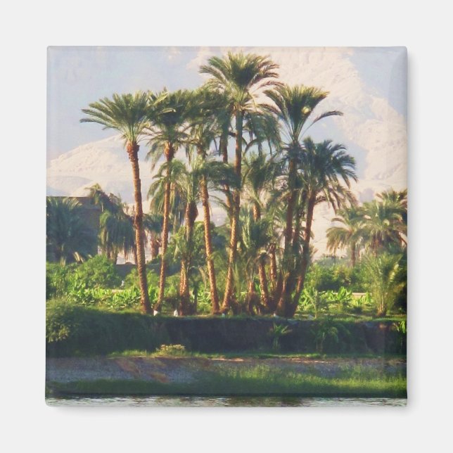 Aimant Le Nil en Egypte, Louxor (Devant)