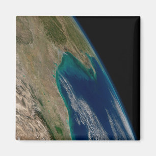 Aimant Le Nord Du Golfe Du Mexique.