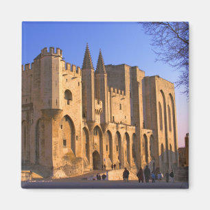 Aimant Le Palais des Papes à Avignon avec des gens
